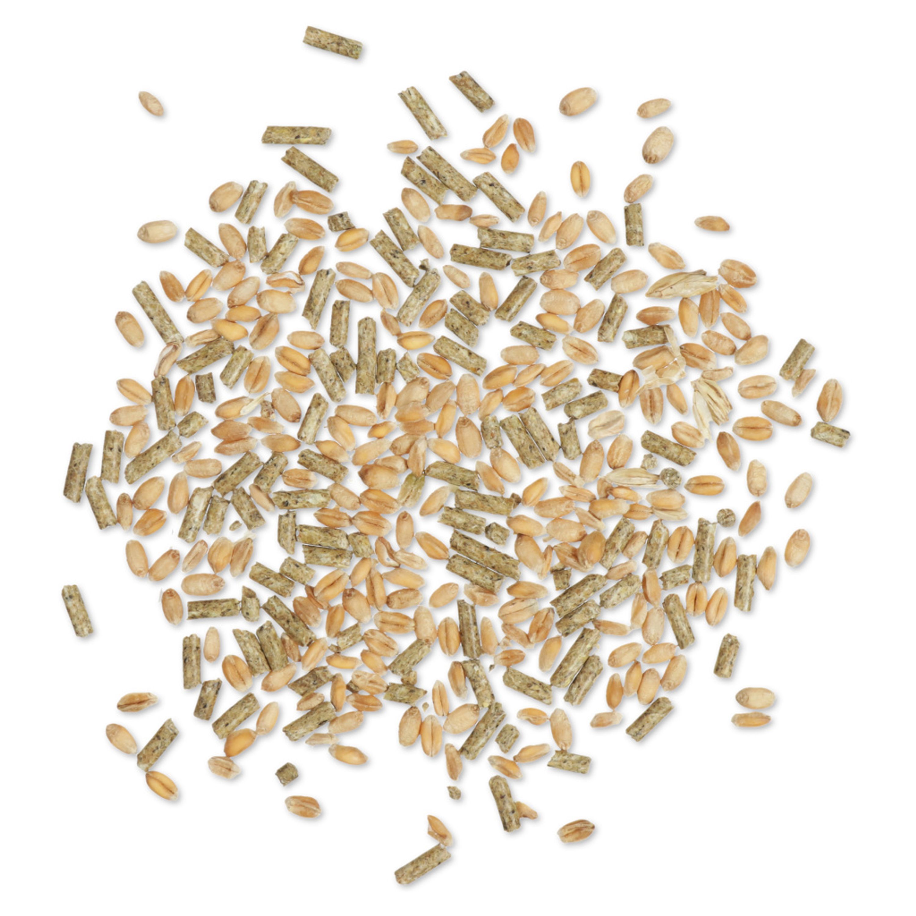 Enten- und Schwanenfutter 2,5 kg | CJ Wildlife